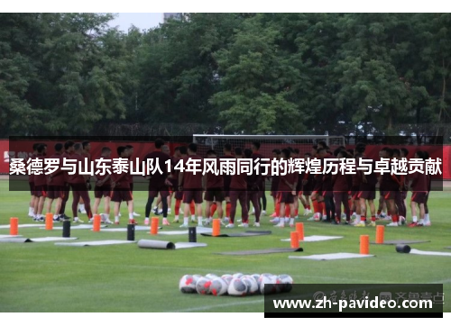 桑德罗与山东泰山队14年风雨同行的辉煌历程与卓越贡献