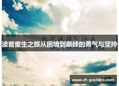 波普重生之旅从困境到巅峰的勇气与坚持