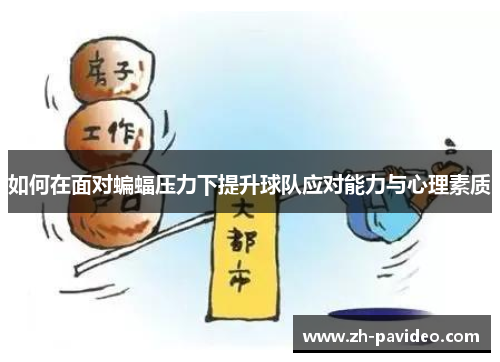 如何在面对蝙蝠压力下提升球队应对能力与心理素质