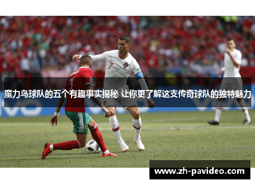 魔力鸟球队的五个有趣事实揭秘 让你更了解这支传奇球队的独特魅力 魔力鸟球队的五个有趣事实揭秘 让你更了解这支传奇球队的独特魅力