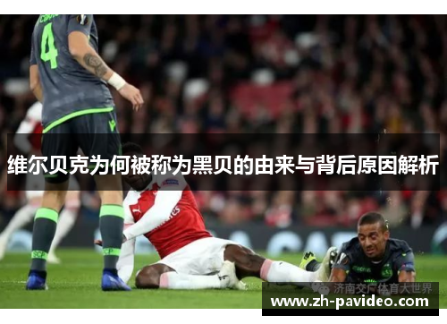 维尔贝克为何被称为黑贝的由来与背后原因解析