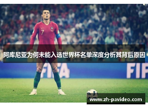 阿库尼亚为何未能入选世界杯名单深度分析其背后原因